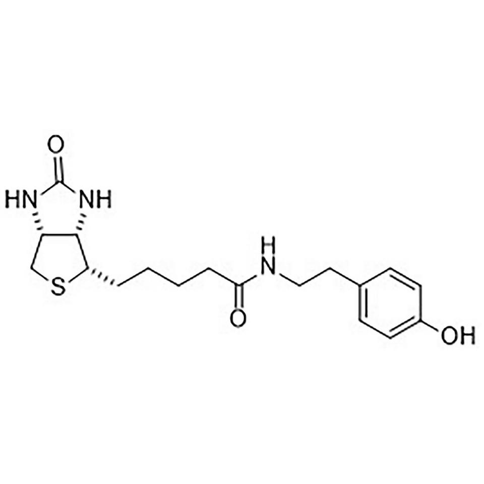 D-(+)-Biotin-tyramine amide